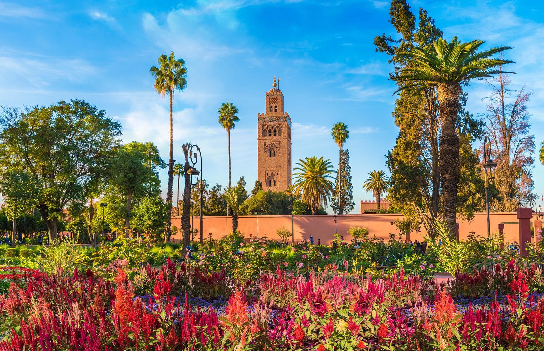 Découvrez les Incontournables de Marrakech